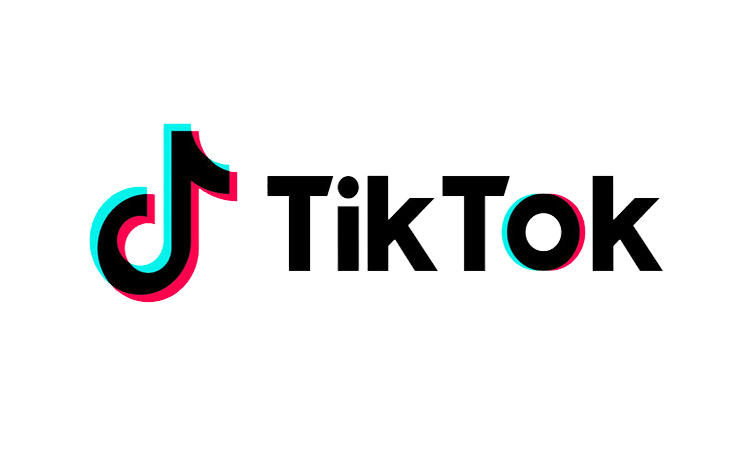 Exolyt.com tiktok money calculator